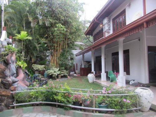 Sithum Home Stay Dikwella Luaran gambar